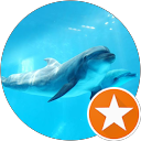 Maggie Chang profile picture