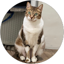 Hsinhuei (Cathleen) profile picture